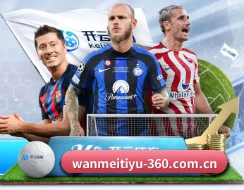 完美体育 APP（WANMEISPORTS）
